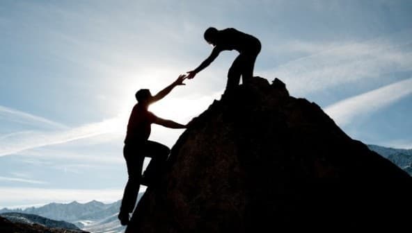 Mentorship Programs